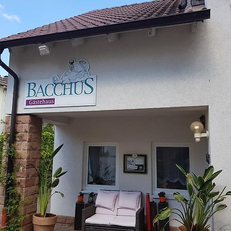 Gaestehaus Bacchus Вахенгайм-ан-дер-Вайнштрасе Екстер'єр фото