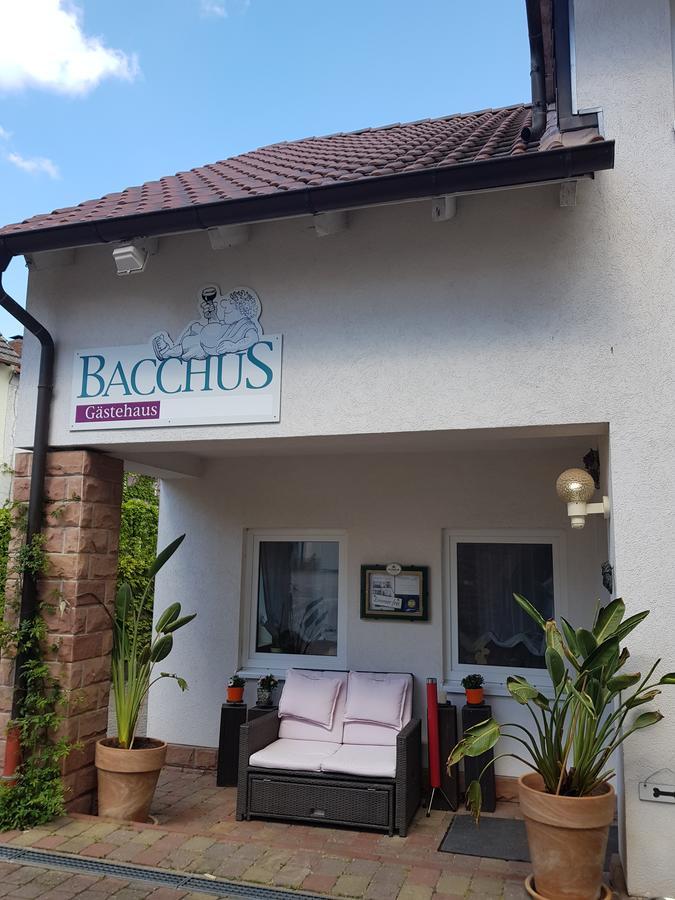 Gaestehaus Bacchus Вахенгайм-ан-дер-Вайнштрасе Екстер'єр фото